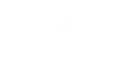 Céline Photo - Photographe Montpellier
